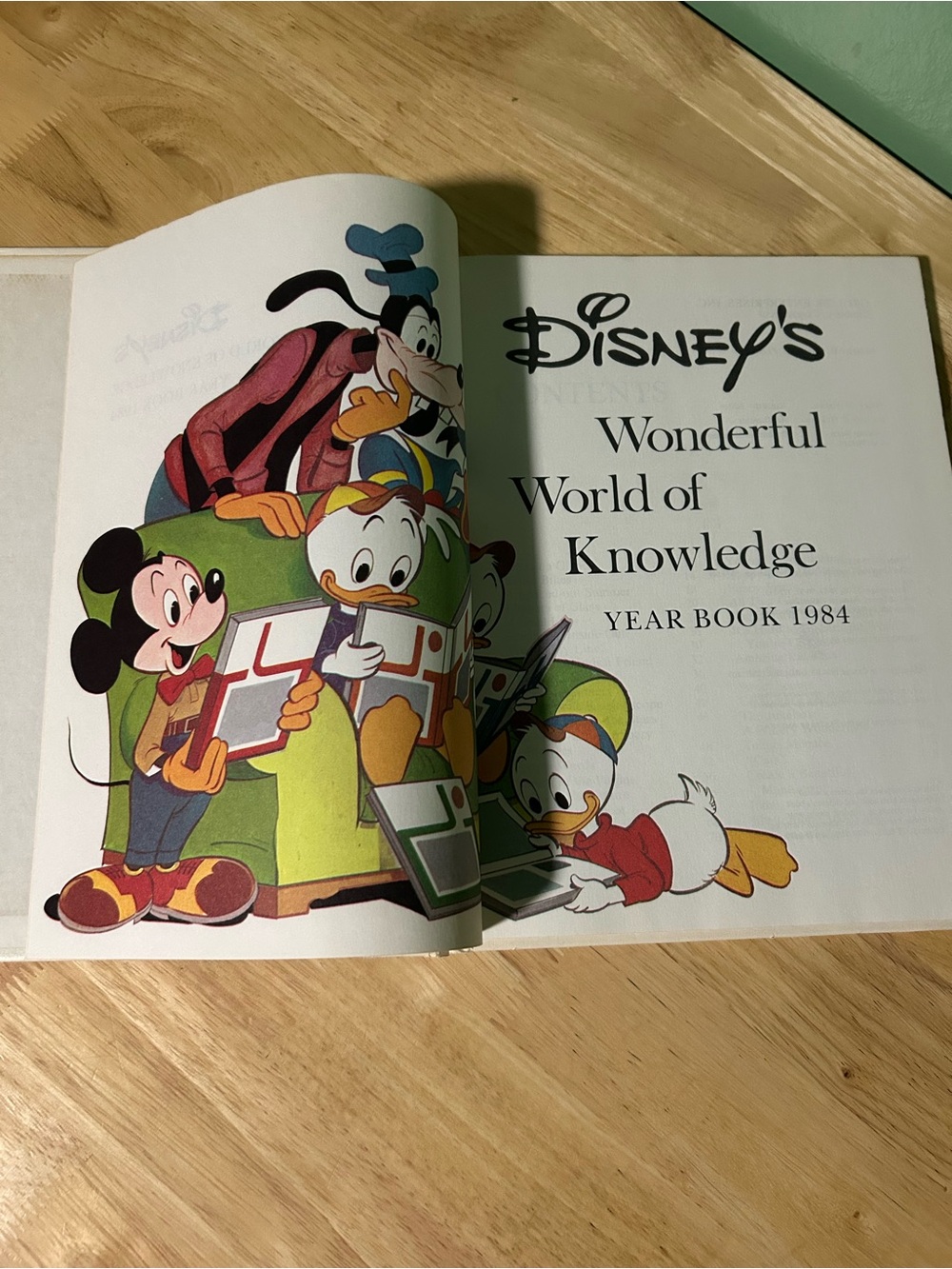 Disney Year Book 1984 Hardcover with Multicolor Character Art - Picture 2 of 12